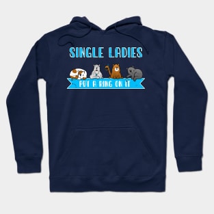 Single ladies put a ring on it. Funny Kitties. Hoodie